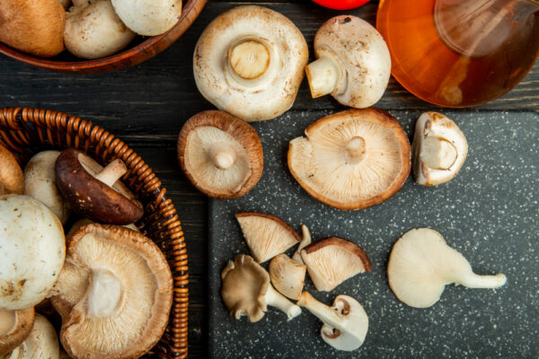 medicinal mushrooms